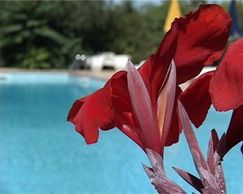 Villa Tasca Turismo Rurale Caltagirone Eksteriør bilde